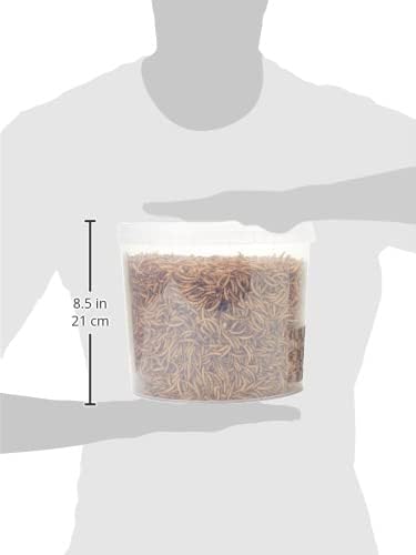 Dried Mealworms 5Litre Tub