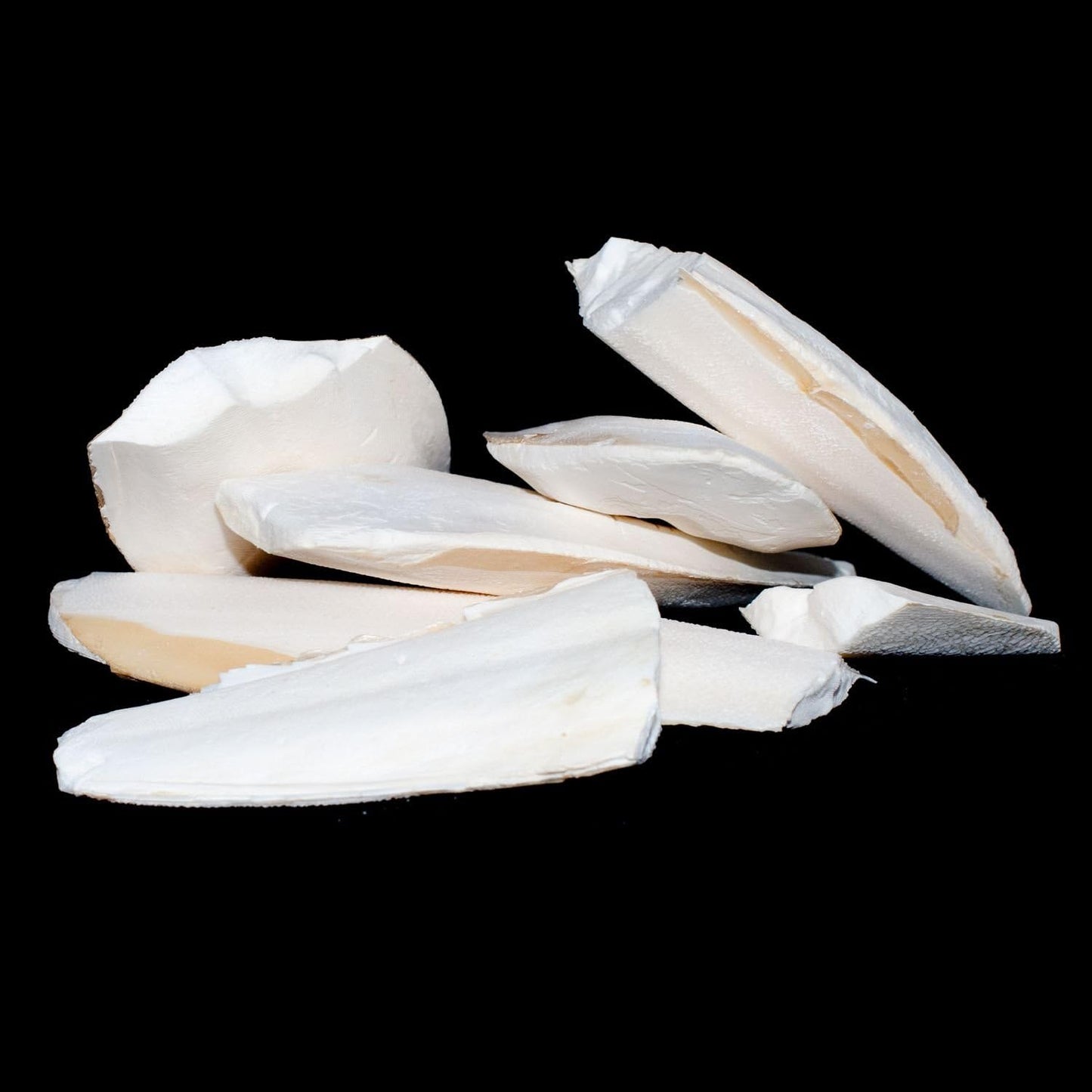 Broken Cuttlefish Pieces 100g