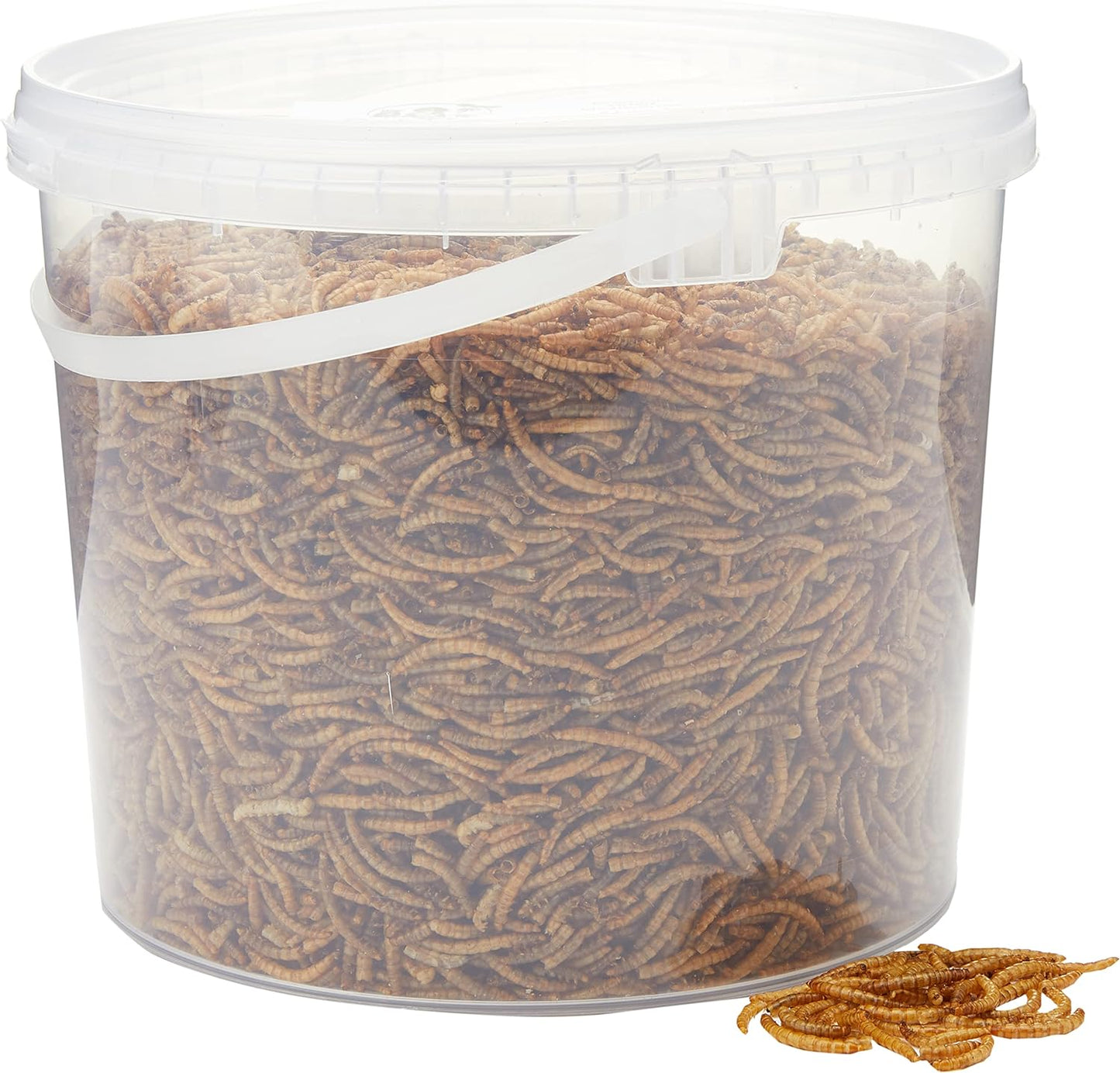 Dried Mealworms 5Litre Tub