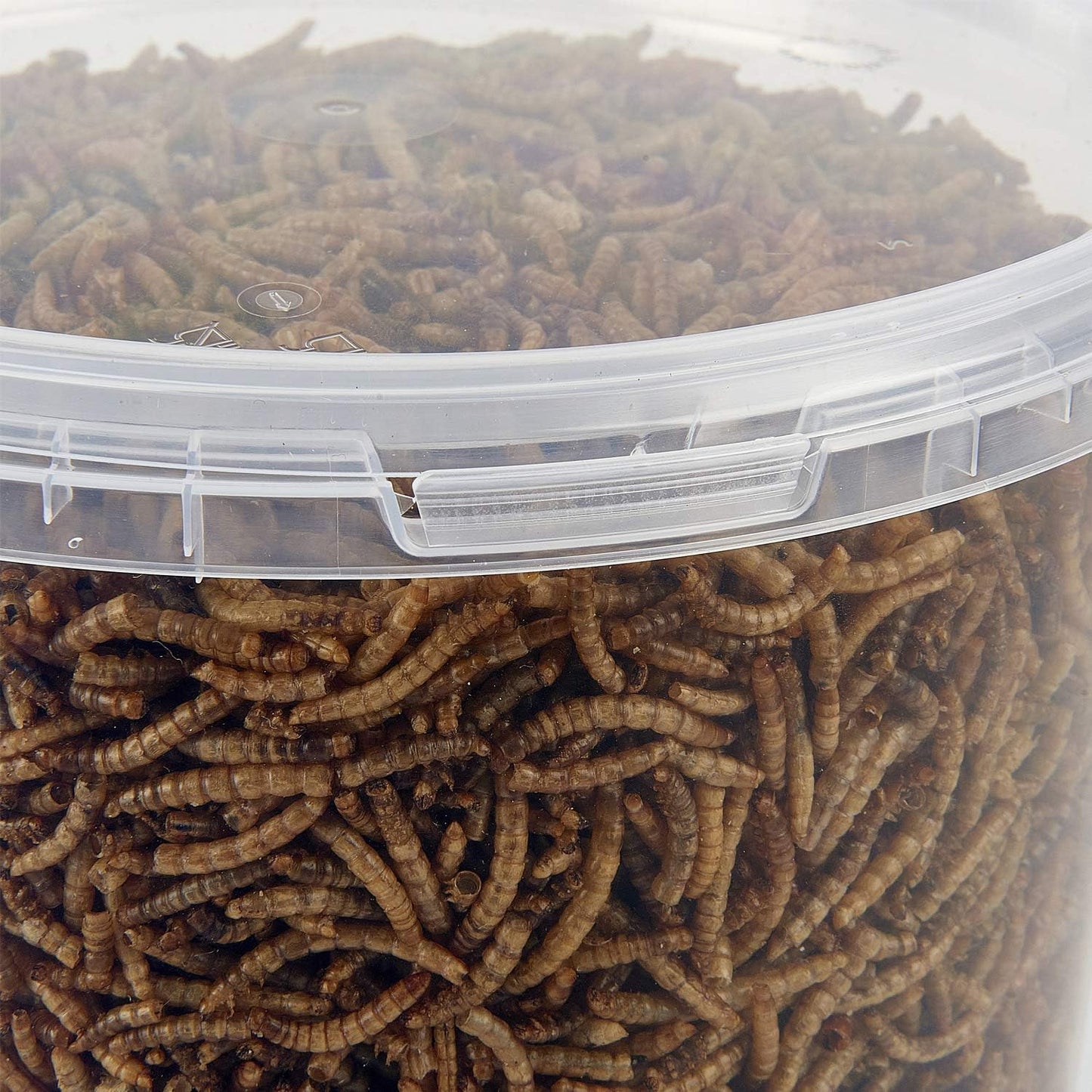 Dried Mealworms 3L Tub