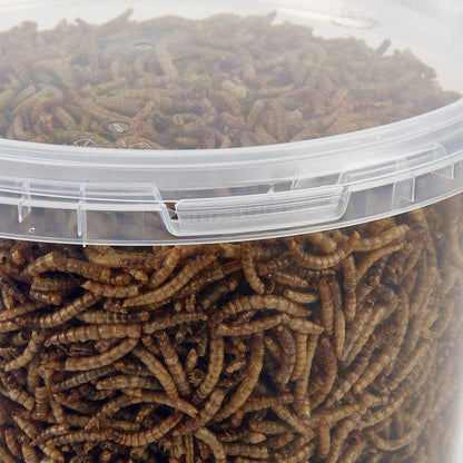 Dried Mealworms 3L Tub