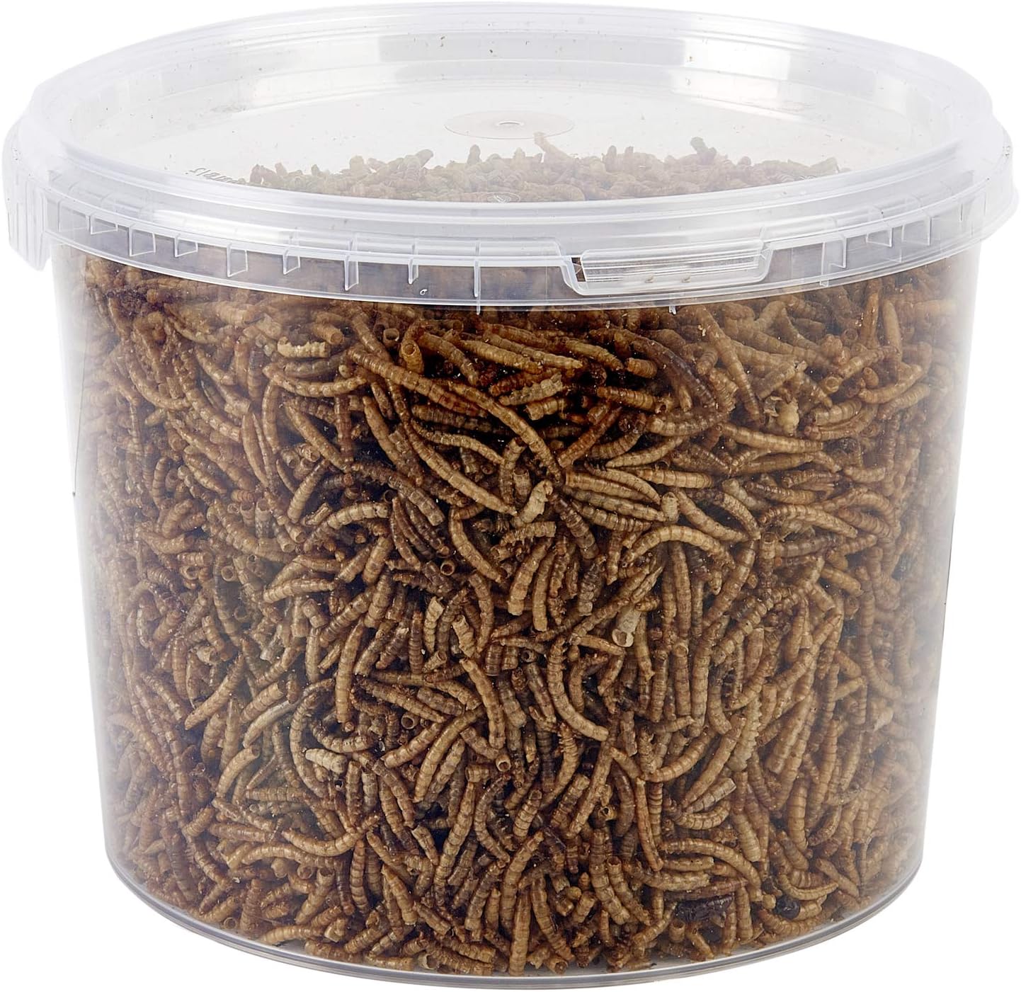 Dried Mealworms 3L Tub