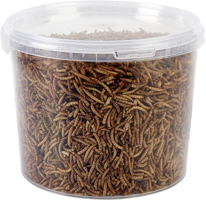 Dried Mealworms 3L Tub