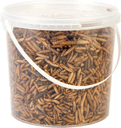 Calci Worms 2.5L Tub