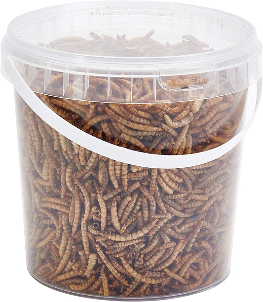 Dried Mealworms 1Litre Tub