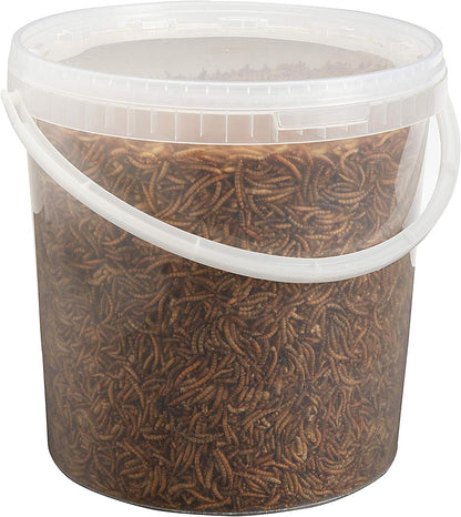 Dried Mealworms 10Litre Tub