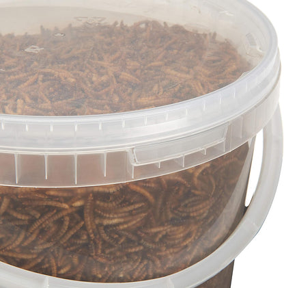 Dried Mealworms 10Litre Tub