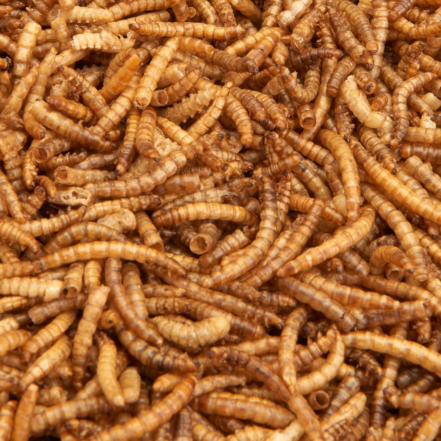 Dried Mealworms 1Litre Tub