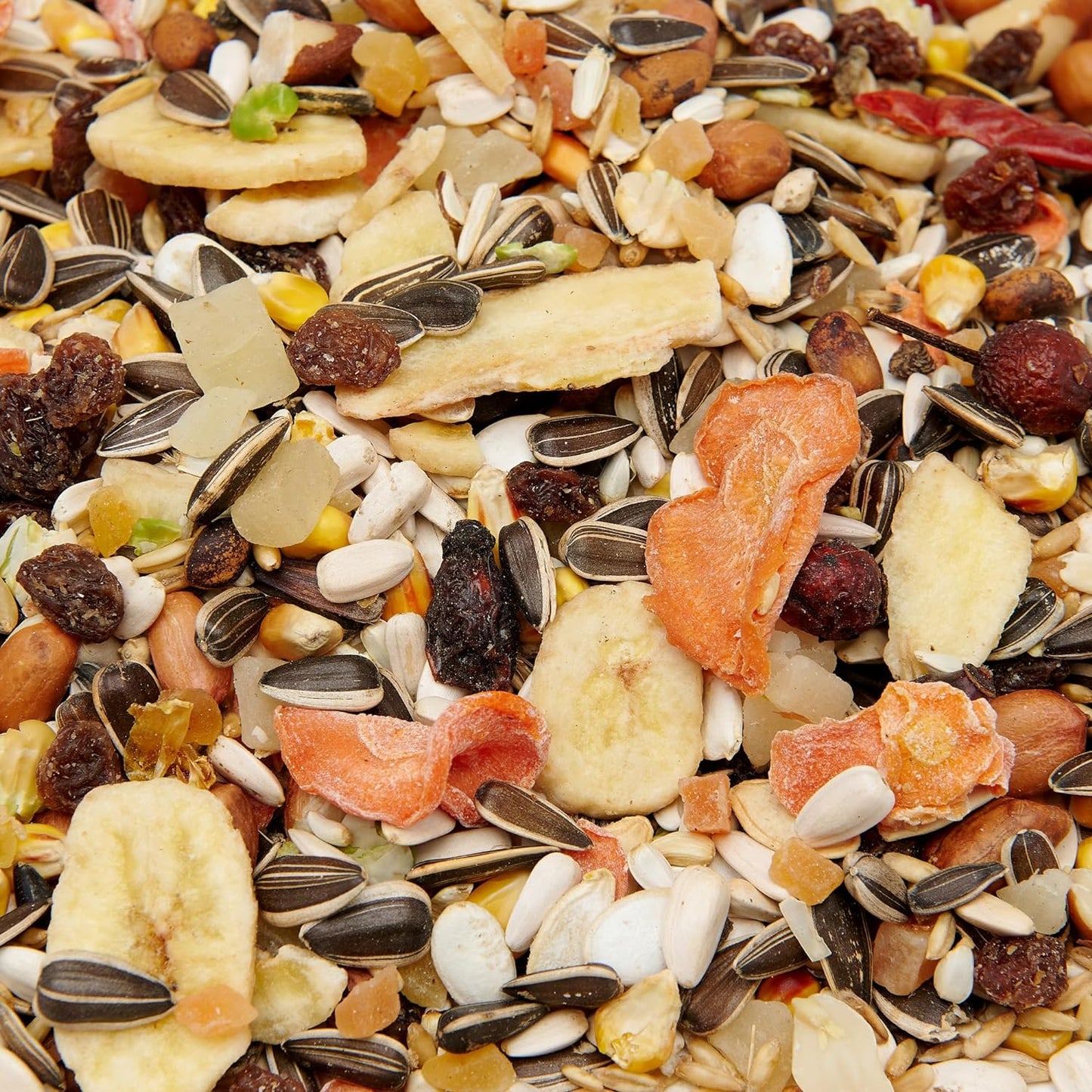 Premium Parrot Mixture, 1000g (Fruity Mix)