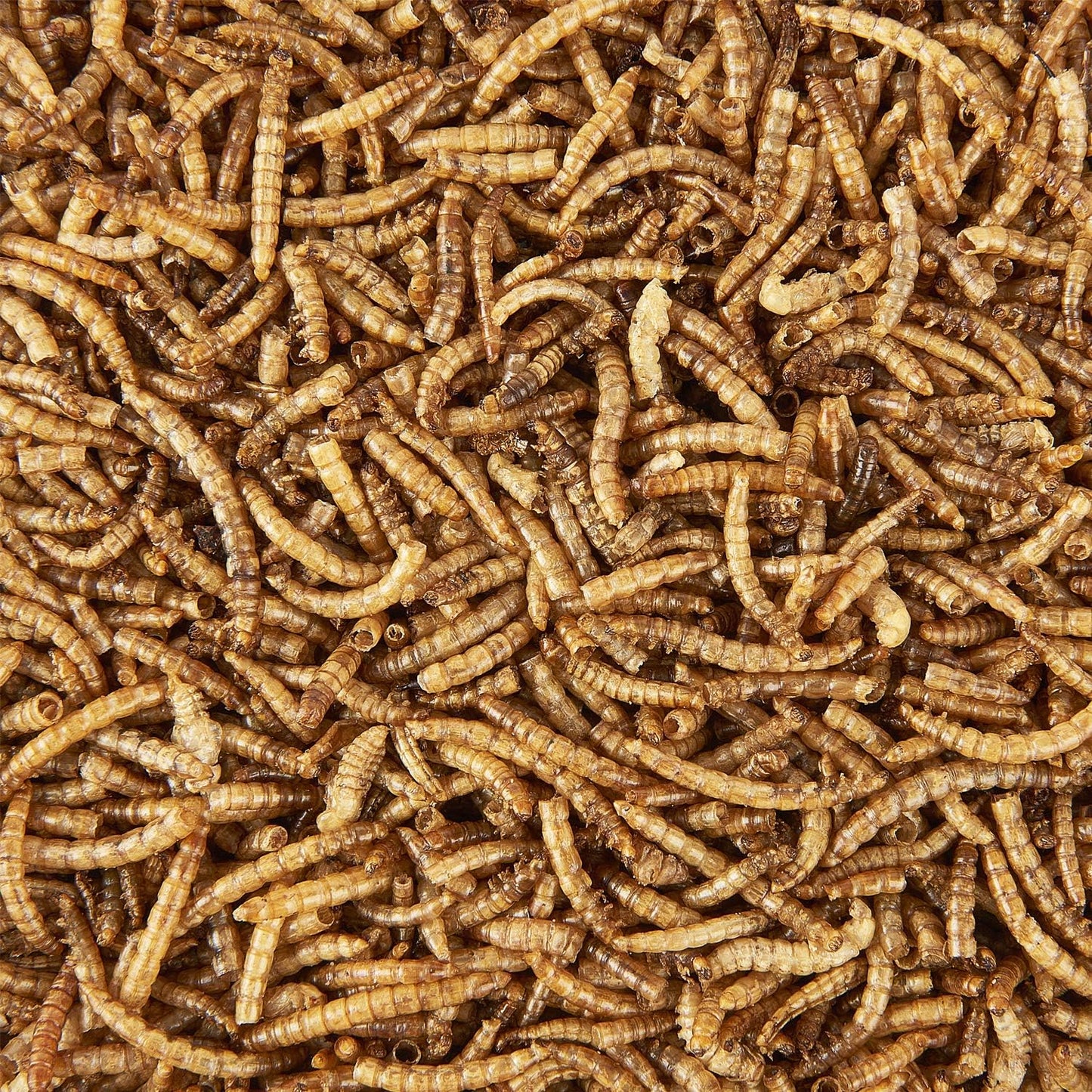 Dried Mealworms 3L Tub