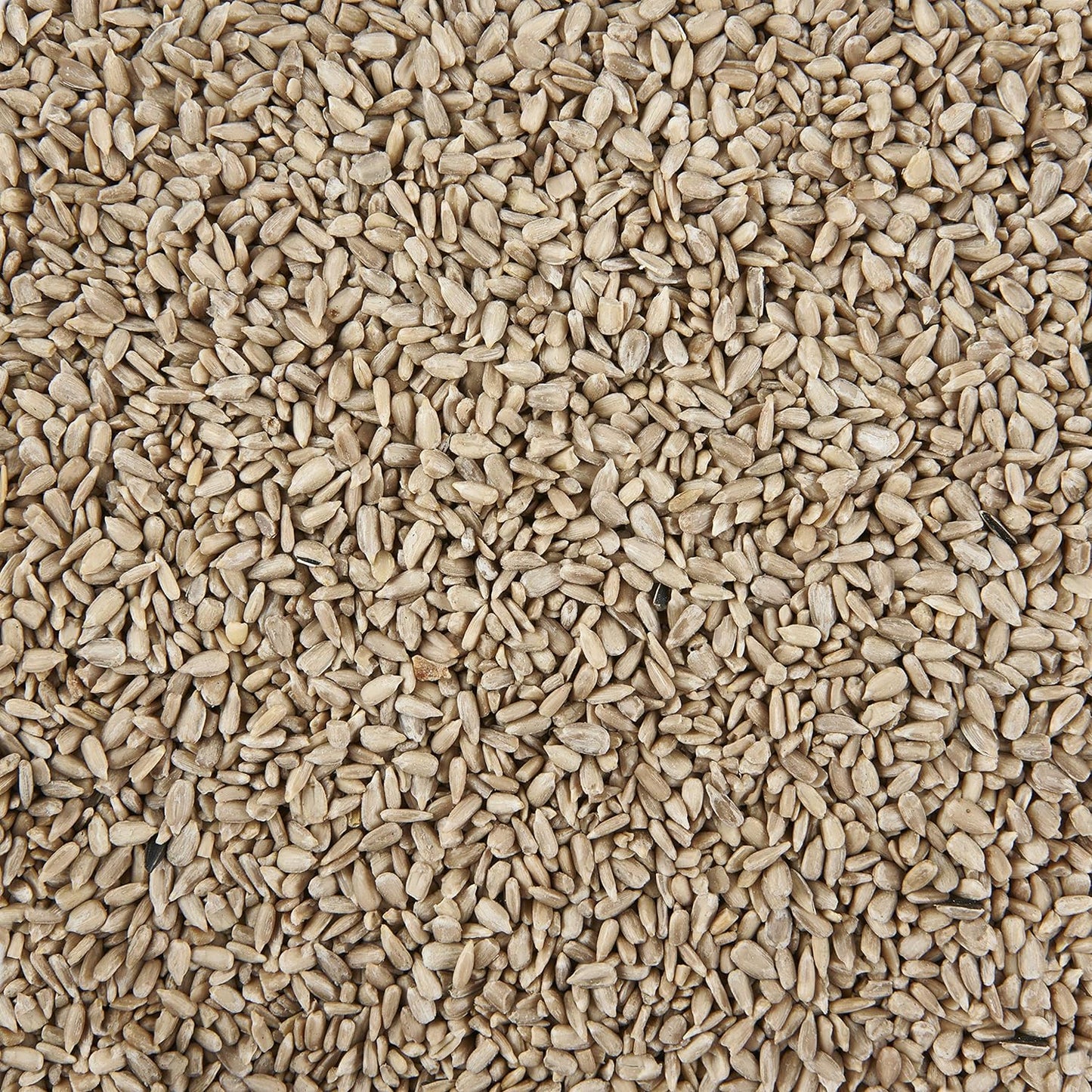 Sunflower Hearts 5L Tub